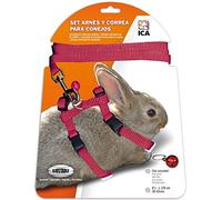 ICA Kit Harnais et Sangle pour Lapins (DA1025) Rouge
