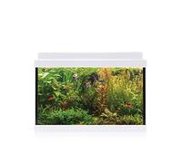ICA Kit intérieur Aqualed 20 Blanco, 20 L, 40,7 x 29,2 x 20,2 cm