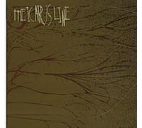 Icarus Line, The - Up Against The Wall [Import]