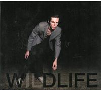 King Baby – Icarus Line – Wildlife – Import