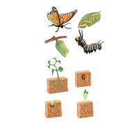 ICDKOYK Ensemble de Figurines représentant Le Cycle de Vie d'une Plante Ferme et d'un Papillon. Idéal pour la décoration intérieure et l'apprentissage. Cadeau Parfait pour Les fêtes. Comprend 2