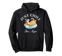 Ice Age Just Chill Sweat à Capuche