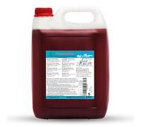 ICE BÄR Slush Sirop 12 variétés fruitées 5 litres de concentré | saveur pastèque | Slushy Maker Ice pour machine à glace pour le bricolage de boisson sirop