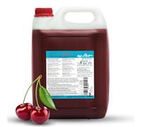 ICE BÄR Slush Syrup 12 variétés fruitées concentré, saveur cerise, machine à glaçons luxuriante pour sorbetière pour sirop de boisson DIY 5 litres