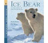 Ice Bear Read and Wonder In the Steps of the Polar Bear by Nicola Davies & Illustrated by Gary Blythe Nicola Davies (Auteur)