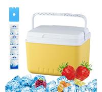 Ice Chest - PE+PP Insulated Cooler | 26cm Ice Chest Box | Leak Proof Large Capacity Portable Storage for Camping Hiking Fishing Beach BBQ Picnics Outdoor Travel Refrigeration