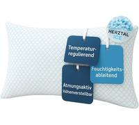 Ice Coussin 40 X 80 Cm En Mousse À Mémoire De Forme, Réglable En Hauteur, Technologie De Refroidissement, Régulateur De Température