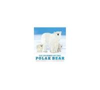 Ice Journey Of The Polar Bear
