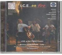 Ice on Fire [Import anglais]