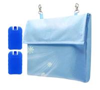 Ice Pack for Pet Cage - Small Animals Cooling Supplies, Rabbits Ice Pouch Sleeve, Guinea Pigs Thermal Mat Set | Summer Temperature Control Cushion, Hamster Chinchilla Ferret Hutch Hot Days Care