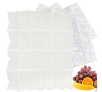 Ice Packs Cooler - Portable Ice Packs, Food Ice Packs | Lunch Box Ice Packs Dry Ice, Shipping frozens Food Ice Packs, Lunch Box Ice Packs, Reusable Freezer Packs for Camping, Beach, Fishing, School