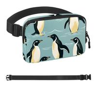 Ice Penguin-1474 Sac banane à bandoulière pour homme et femme, sac de ceinture pour voyage, marche, course, randonnée, cyclisme, multicolore, 4 x 23 x 15 cm, multicolore, 1.5x9.0x5.9in/4x23x15cm