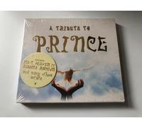 Ice-T - A Tribute To Prince