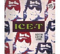 ICE T - Gotta Lotta Love (4 mixes, INCL. Tubular Bells Mix) [Import]