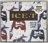 ICE T - Gotta Lotta Love [Import]
