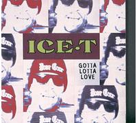 ICE T - Gotta Lotta Love [UK Import]