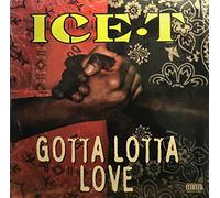 Ice-T - Gotta Lotta Love [Vinyl LP]