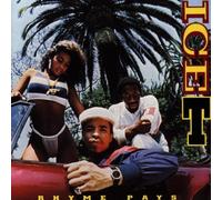 Ice-T - Rhyme Pays
