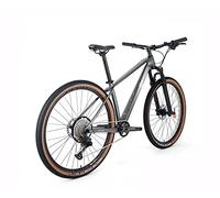 ICE VTT MT10 Cadre en Fibre de Carbone, Roue 29", monoplateau, 12 V (Gris, 15")