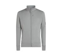 icebreaker - 260 Quantum IV LS Zip - Polaire en laine mérinos homme Alloy - L