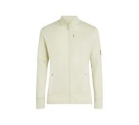 Icebreaker - Merino 260 Quantum IV L/S Zip - Veste en laine mérinos - S - ashen