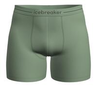 Icebreaker - Anatomica Boxers - Sous-vêtement mérinos - S - seaglass