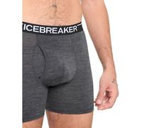 Boxer Icebreaker 150 Anatomica wFly gris - S