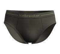 Icebreaker - Anatomica Briefs - Sous-vêtement mérinos - L - dark loden