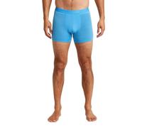 Icebreaker Boxer Anatomica Merino 125 Cool-lite pour homme, Polaire, Large