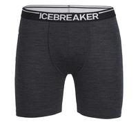 Icebreaker - Anatomica Long Boxers - Sous-vêtement mérinos - S - jet heather