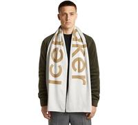 Icebreaker Mer Scarf Marron,Blanc