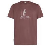 Icebreaker - Merino 150 Tech Lite S/S Tee Polar Paddle - Haut en mérinos - XXL - carob