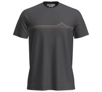Icebreaker Merino 150 Tech Lite Range Stripes Short Sleeve T-shirt Gris 2XL Homme