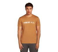 ICEBREAKER Merino 150 Tech Lite Ss Tee Massif - Homme - Marron / Orange - taille M- modèle 2025