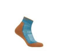 icebreaker - Merino Hike+ Light Mini - Chaussettes en laine mérinos homme Topaz / Trail - M (42 - 44)