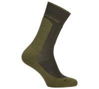 Icebreaker Hike+ Medium Crew Socks Vert EU 42-44 Homme