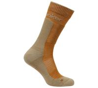 Icebreaker Merino Hike+ Medium Crew Socks Marron EU 42-44 Homme