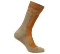 Icebreaker Merino Hike+ Medium Crew Socks Marron EU 39-41 1/2 Homme