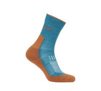 icebreaker - Merino Mer Hike+ Light Crew - Chaussettes en laine mérinos homme Topaz / Trail - L (44.5 - 46.5)