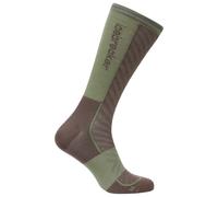 Icebreaker - Merino Run+ Ultralight Crew - Chaussettes de running - EU 39-41,5 - porcini / lichen