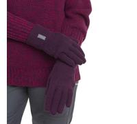 Icebreaker Rixdorf Gants Nightshade L