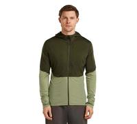 Icebreaker Sweat-shirt à Zip Merino 200 Realfleece Descender