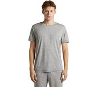 Icebreaker 150 Lodge Relaxed Short Sleeve T-shirt Gris M Homme