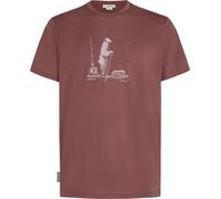 Icebreaker T-shirt à Manches Courtes Merino 150 Tech Lite Polar Paddle