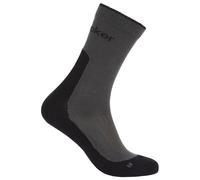 Icebreaker Chaussettes Merino Hike+ Light Crew Gris EU 38-40 Femme