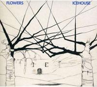 Icehouse (30th Anniversary) [CD/DVD] by Icehouse NEUF