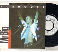 ICEHOUSE - MR BIG - 7 inch vinyl / 45