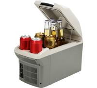 PUNEDA Réfrigérateur de voiture 12 V - 9 L - 5 °C à 65 °C - 12 V CC et 110 V CA - Réfrigérateur électrique portable compact et thermoélectrique 12 V pour voiture, camping-car, camping (gris)