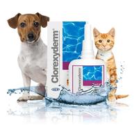 ICF Clorexyderm Spot Gel | Gel Assainissant, Hydratant et Protecteur pour Chien et Chat | Soin Indiqué pour Application Locale : Peau et Oreille | Produit 100ml