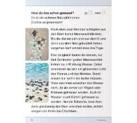 Ich Kenne Die Meeresschildkröte - Lebenszyklus